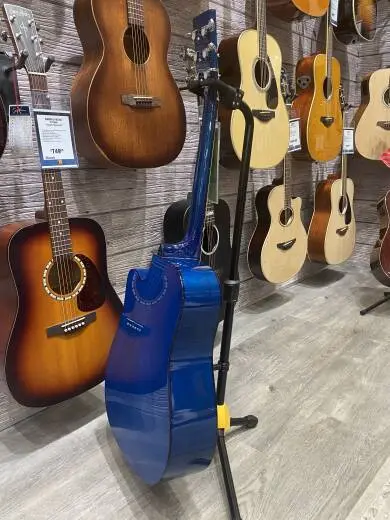 Eleca Acoustic Guitar 2